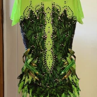 C1269 - Green/ black/ gold Costume